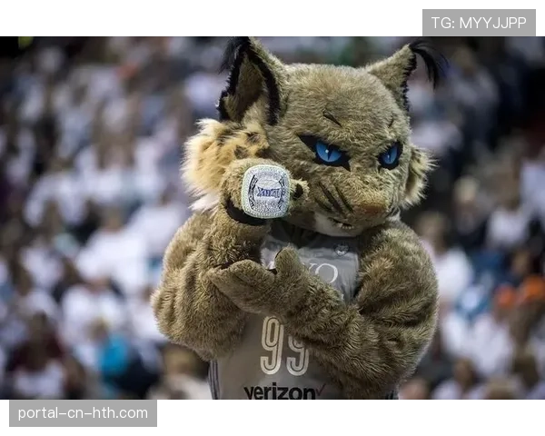 季前赛通讯：从欧洲到明尼苏达，科利尔如何带领山猫寻找化学反应